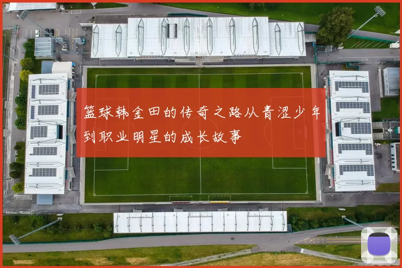 篮球韩金田的传奇之路从青涩少年到职业明星的成长故事