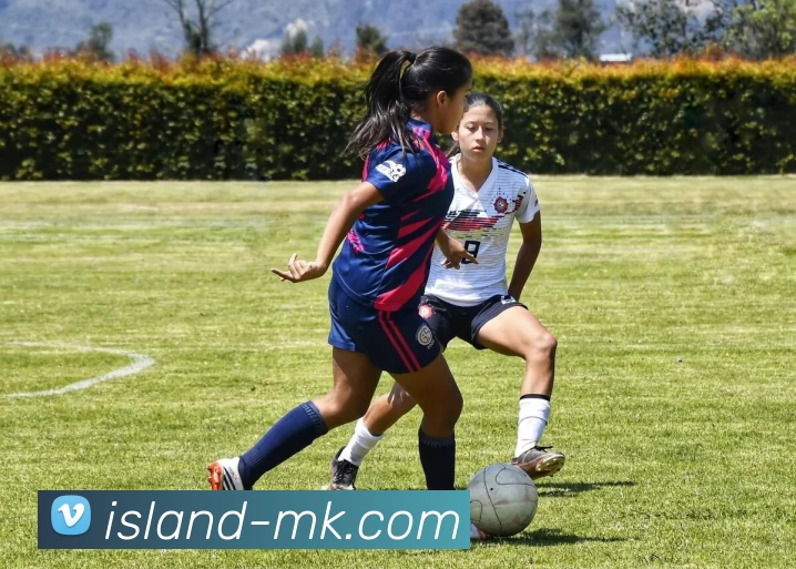 MK体育发展历程